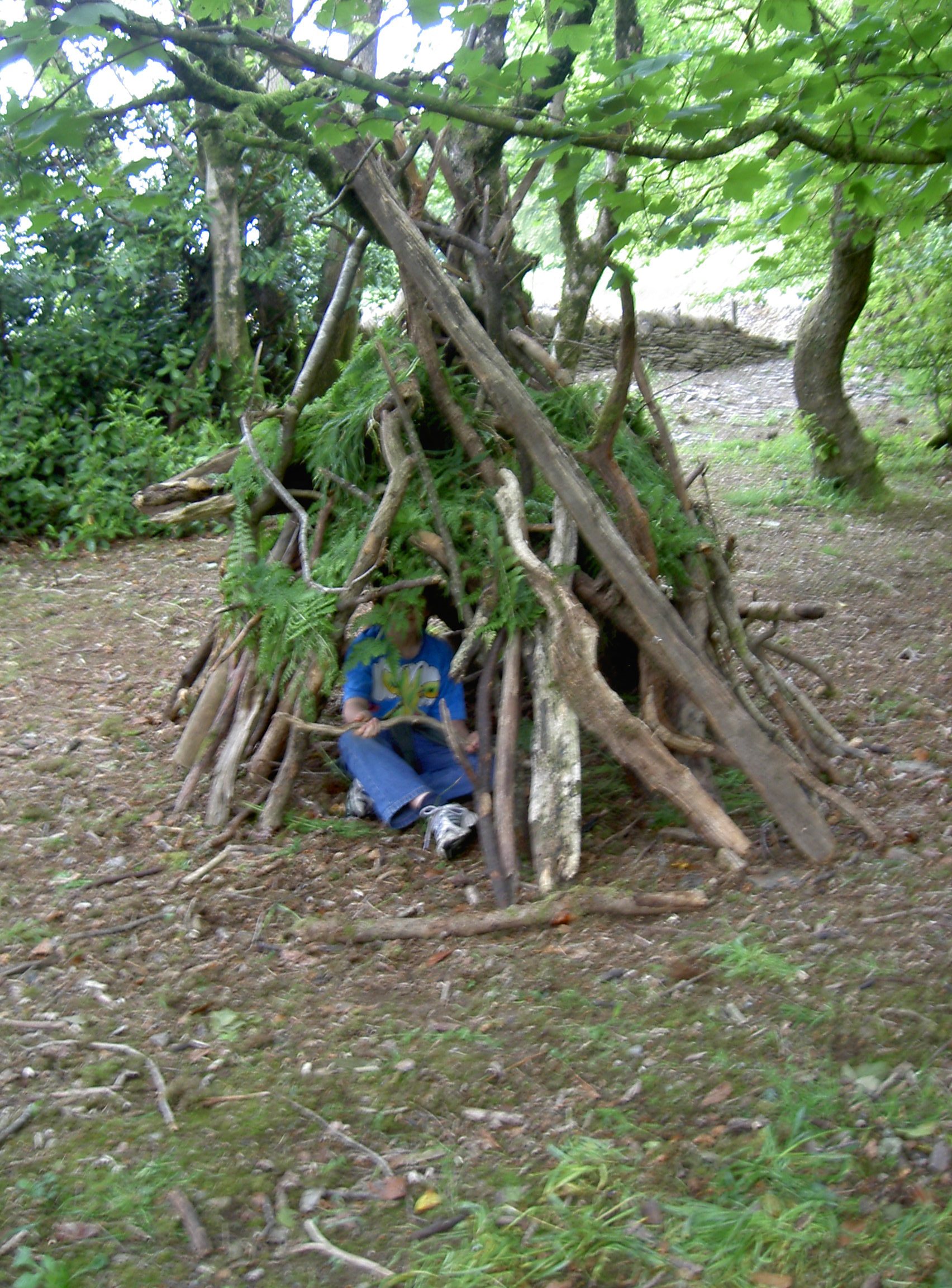 Shelter building 1.jpg